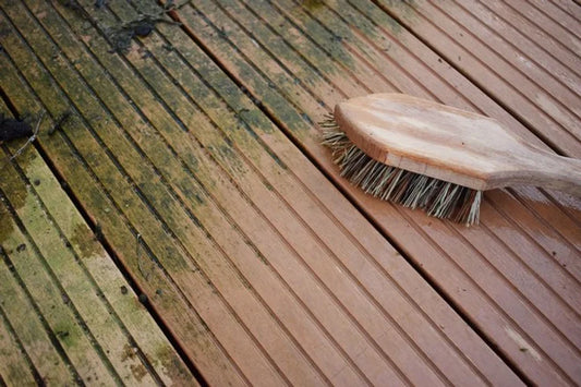 Removing Moss & Algae from Your Deck